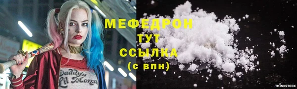 индика Горно-Алтайск