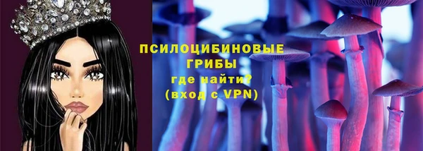 эйфоретик Гусев
