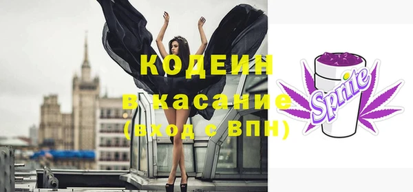 эйфоретик Гусев