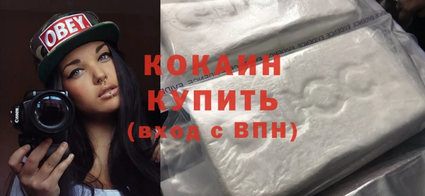 индика Горно-Алтайск