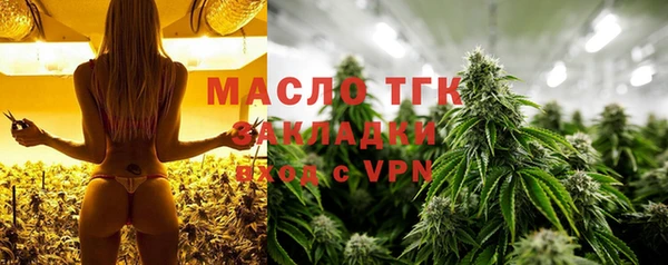 индика Горно-Алтайск