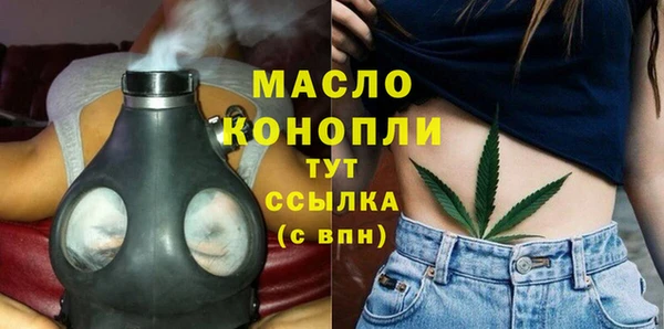 гашик Бикин