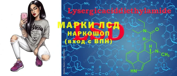 гашик Бикин