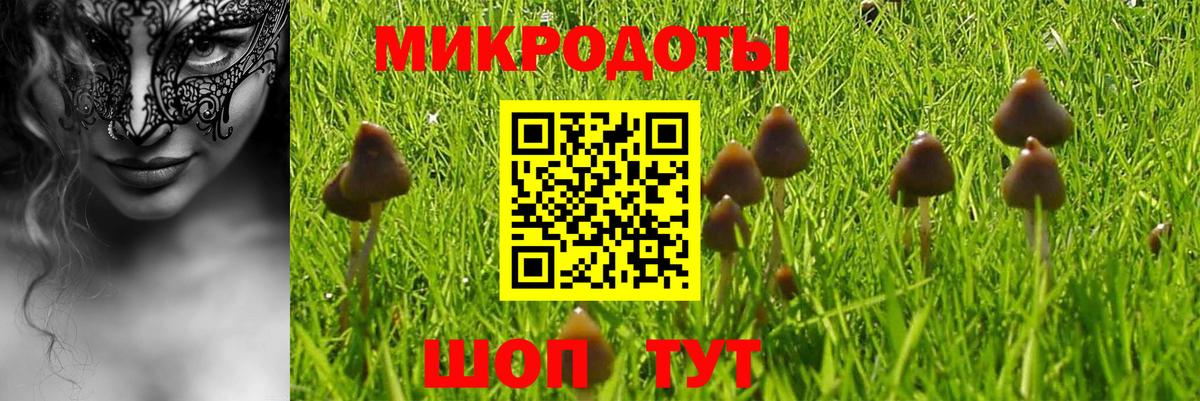 Гусь-Хрустальный  Псилоцибиновые грибы MAGIC MUSHROOMS  Вход с VPN 