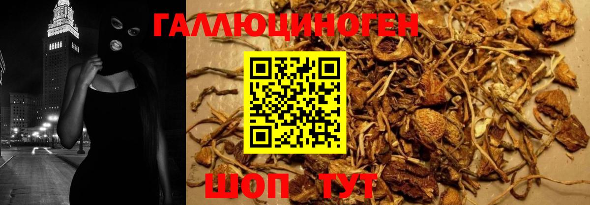 Псилоцибиновые грибы Psilocybine cubensis Гусь-Хрустальный
