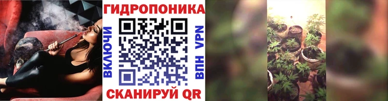 Конопля OG Kush  Гусь-Хрустальный 
